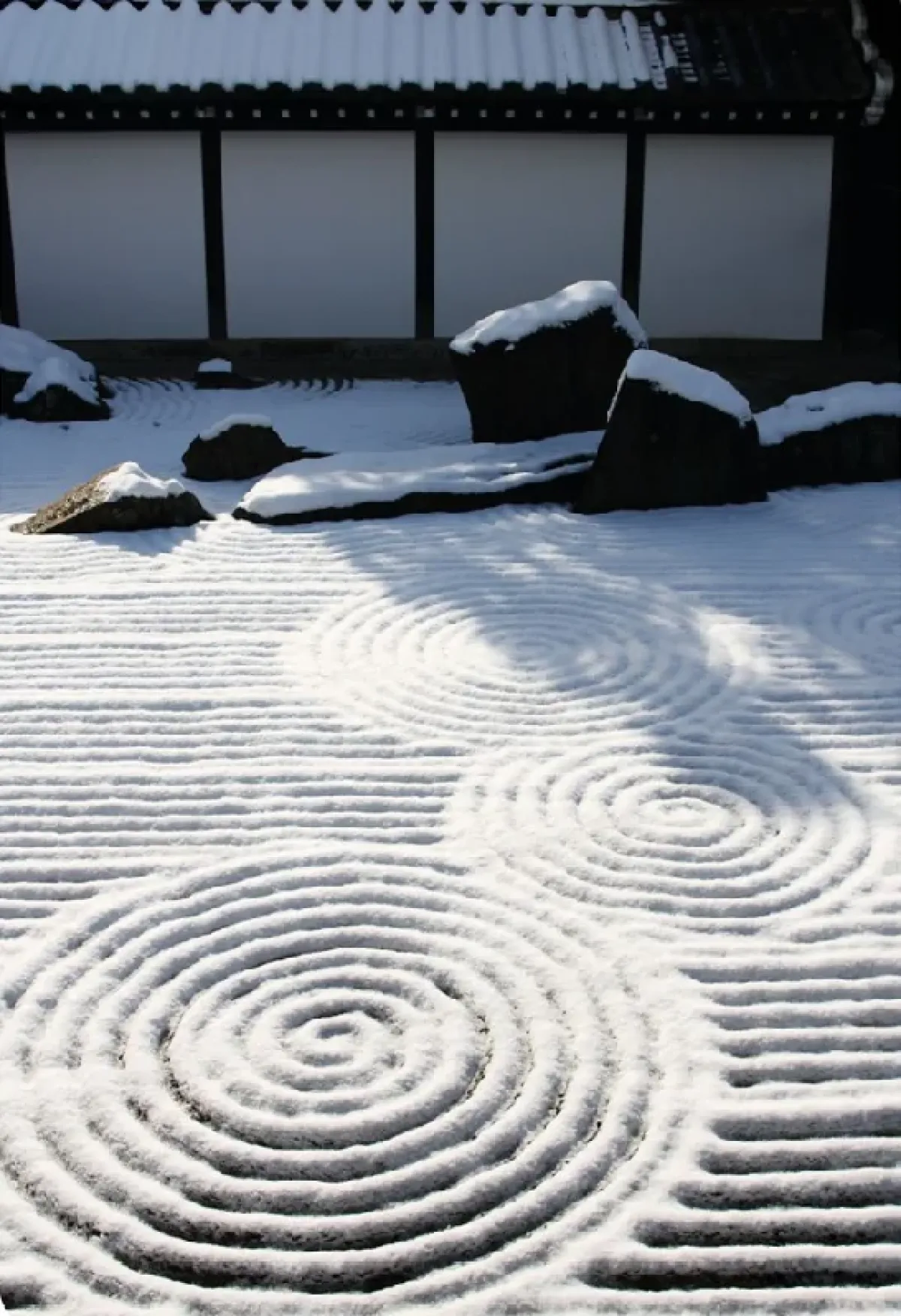 Quiet Forces — Winter Exhibition at SM Bureau