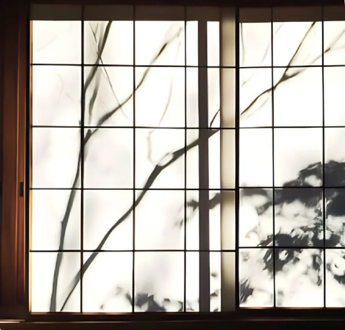 Quiet Forces — Winter Exhibition at SM Bureau