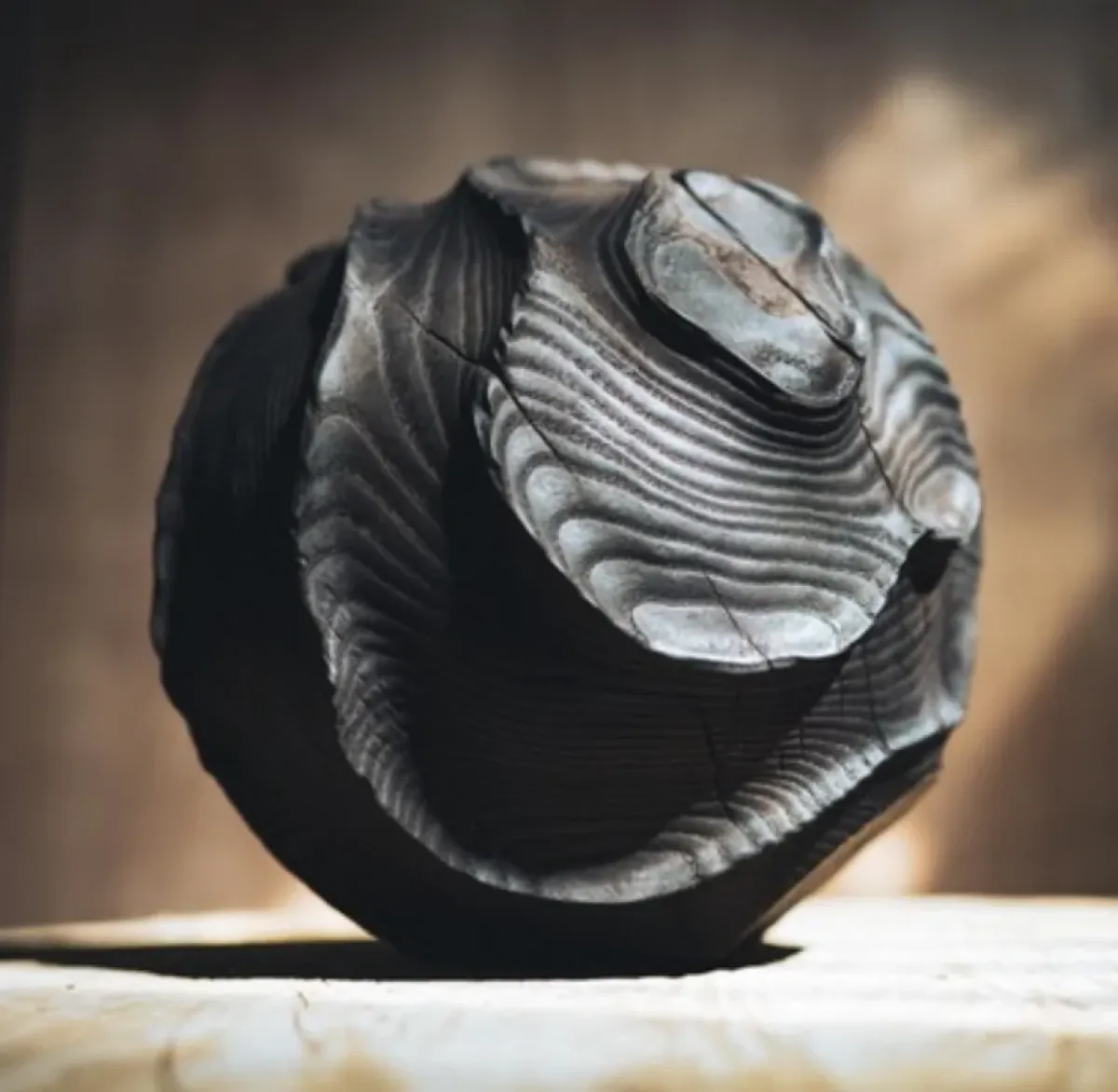 Quiet Forces — Winter Exhibition at SM Bureau