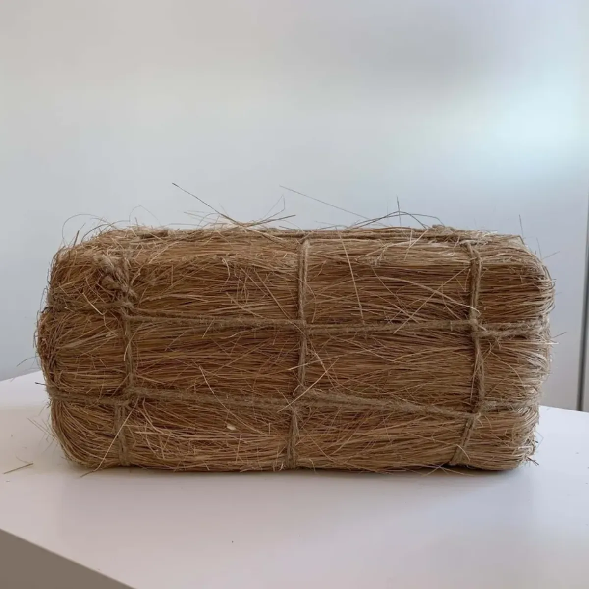 Quiet Forces — Winter Exhibition at SM Bureau