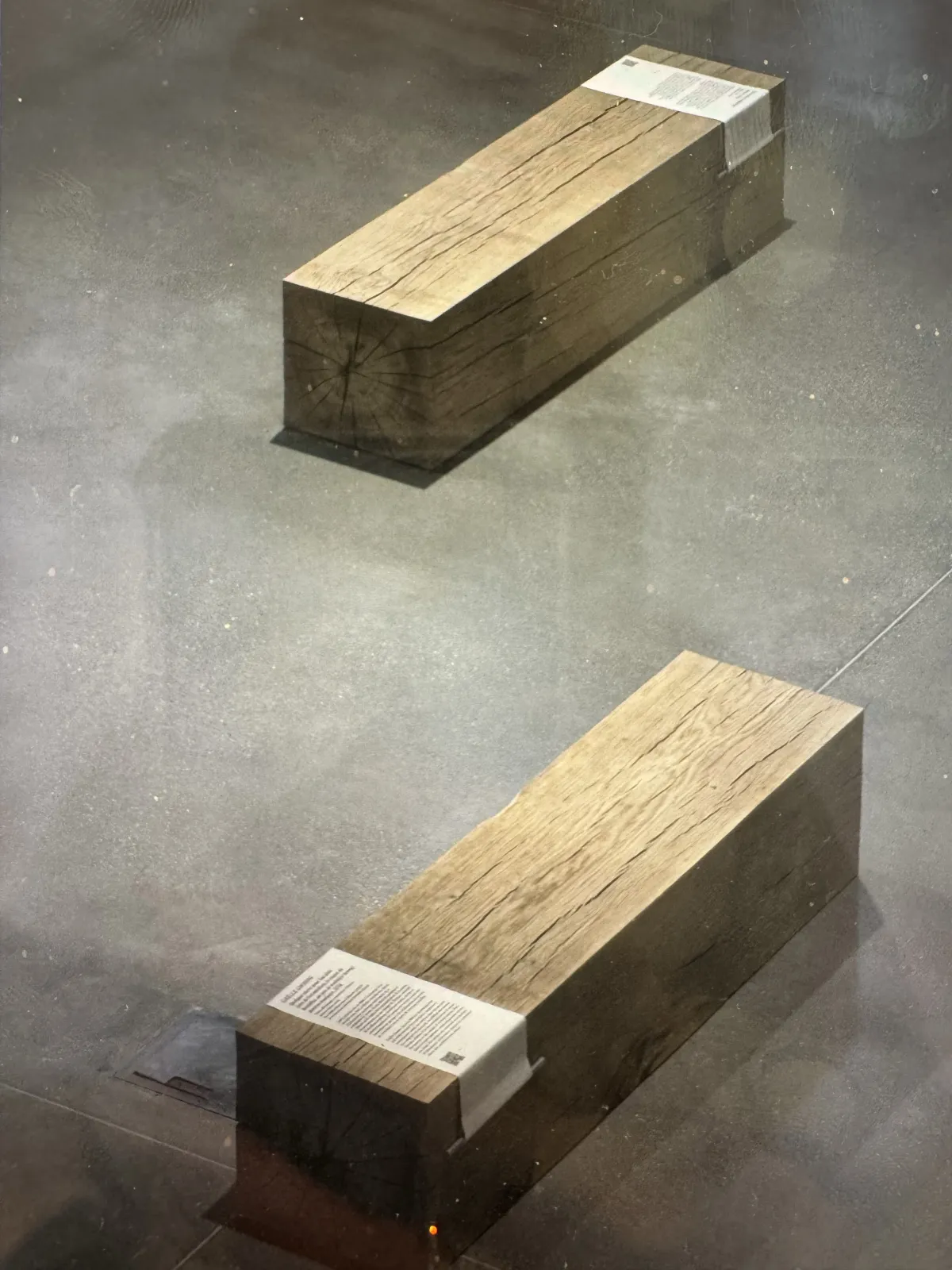 Quiet Forces — Winter Exhibition at SM Bureau