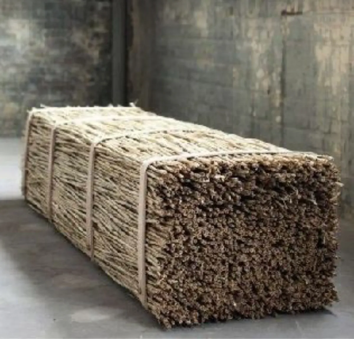 Quiet Forces — Winter Exhibition at SM Bureau