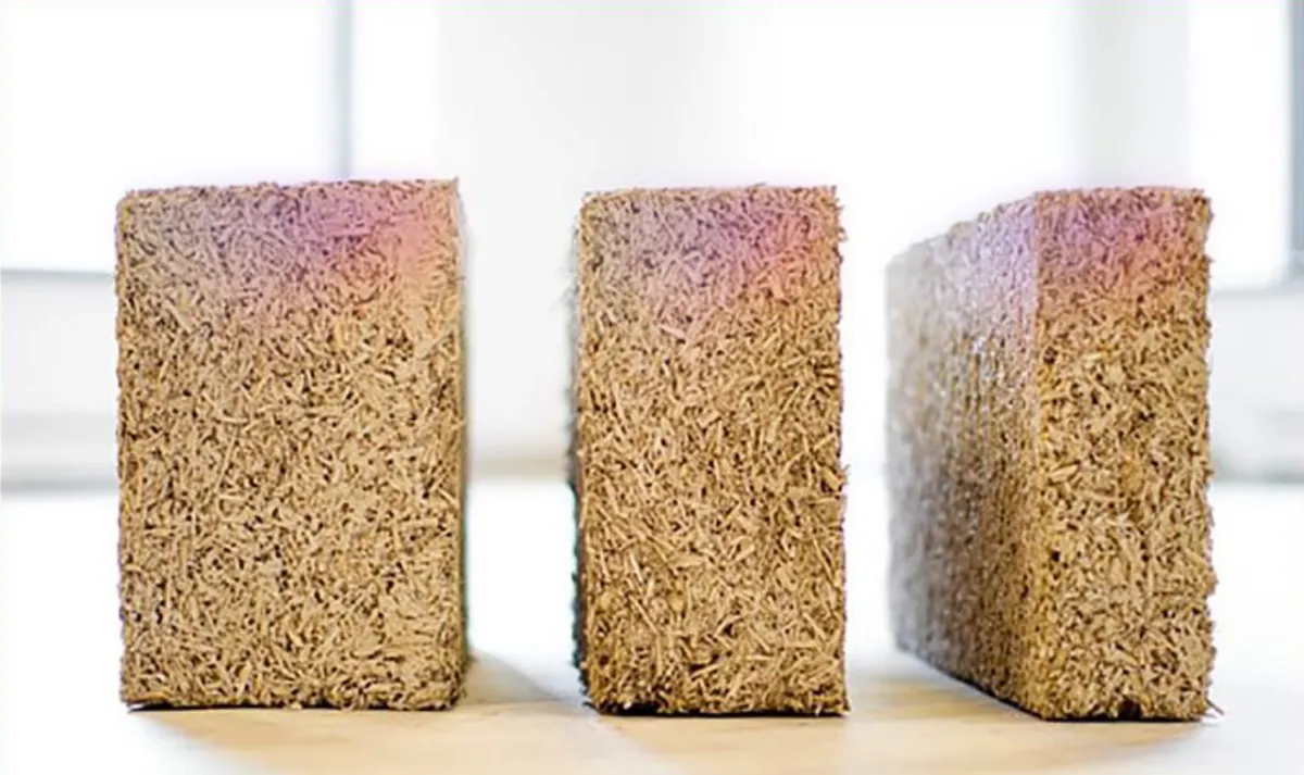 Quiet Forces — Winter Exhibition at SM Bureau