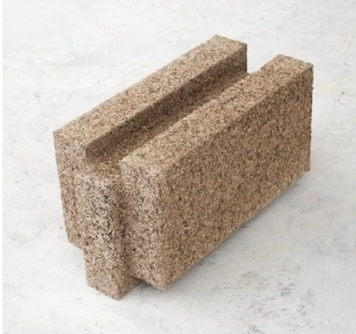 Quiet Forces — Winter Exhibition at SM Bureau