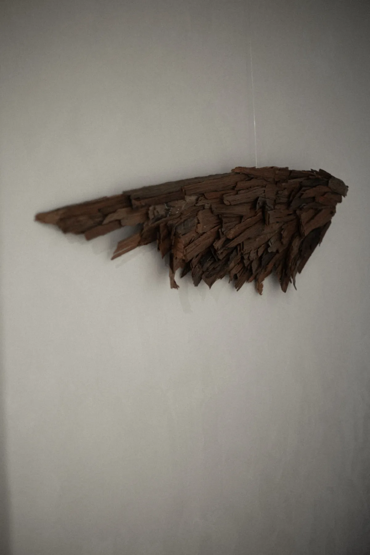 Quiet Forces — Winter Exhibition at SM Bureau