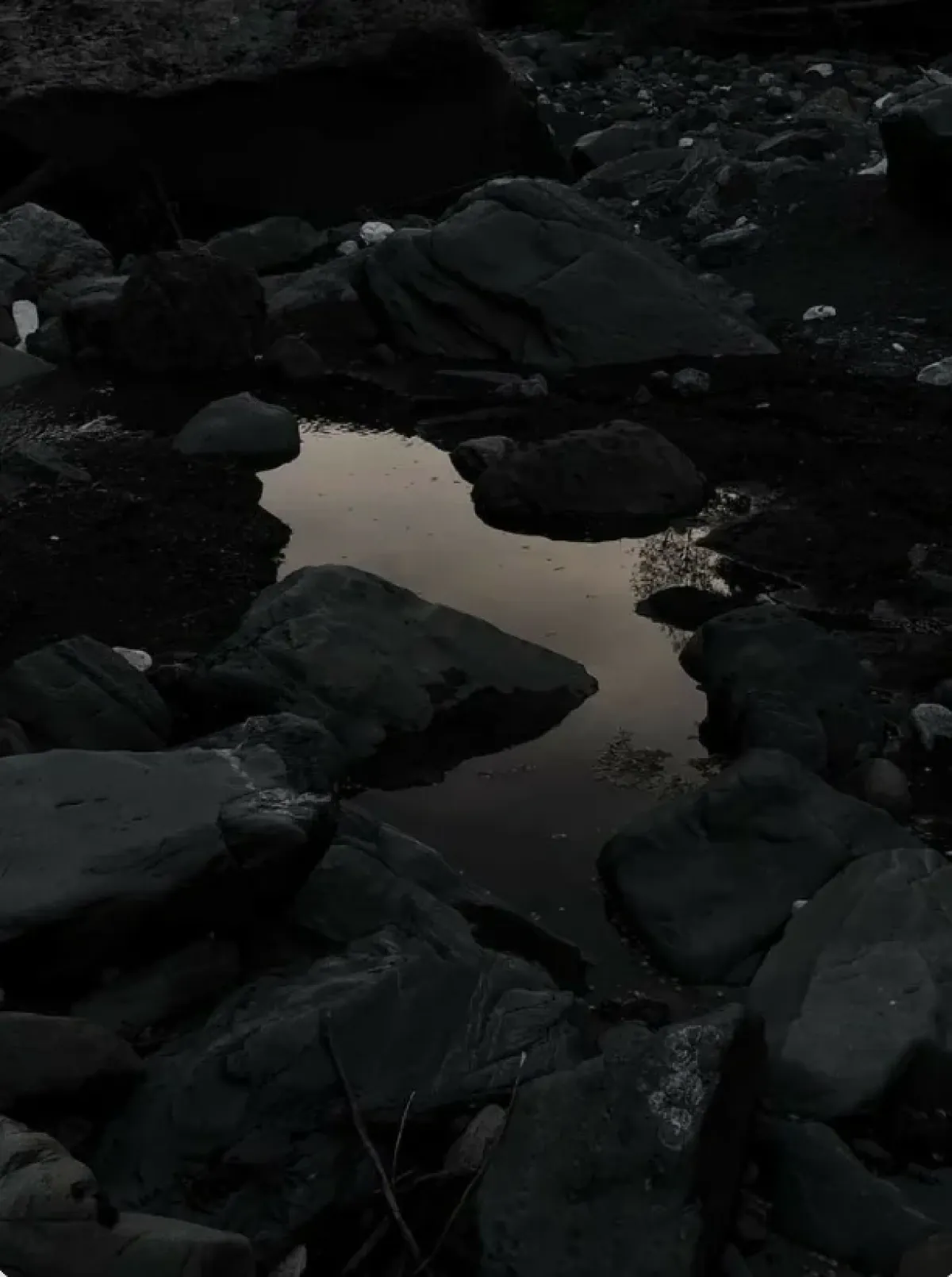 Quiet Forces — Winter Exhibition at SM Bureau